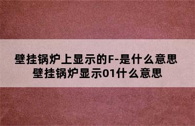 壁挂锅炉上显示的F-是什么意思 壁挂锅炉显示01什么意思